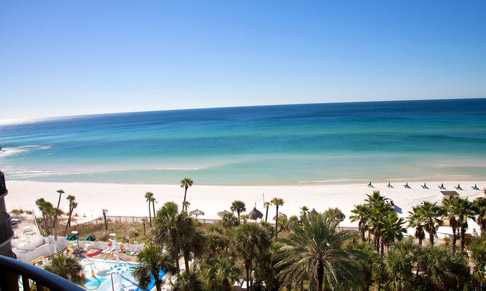 aerial view of palm trees, beach and ocean
