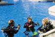 Iberostar Tucan/Quetzal Riviera Maya Activities